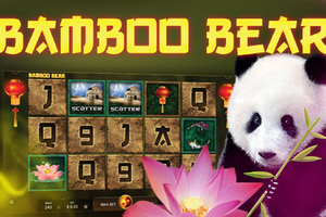 Bamboo Bear