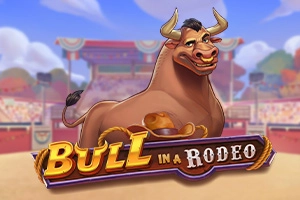 Bull in a Rodeo